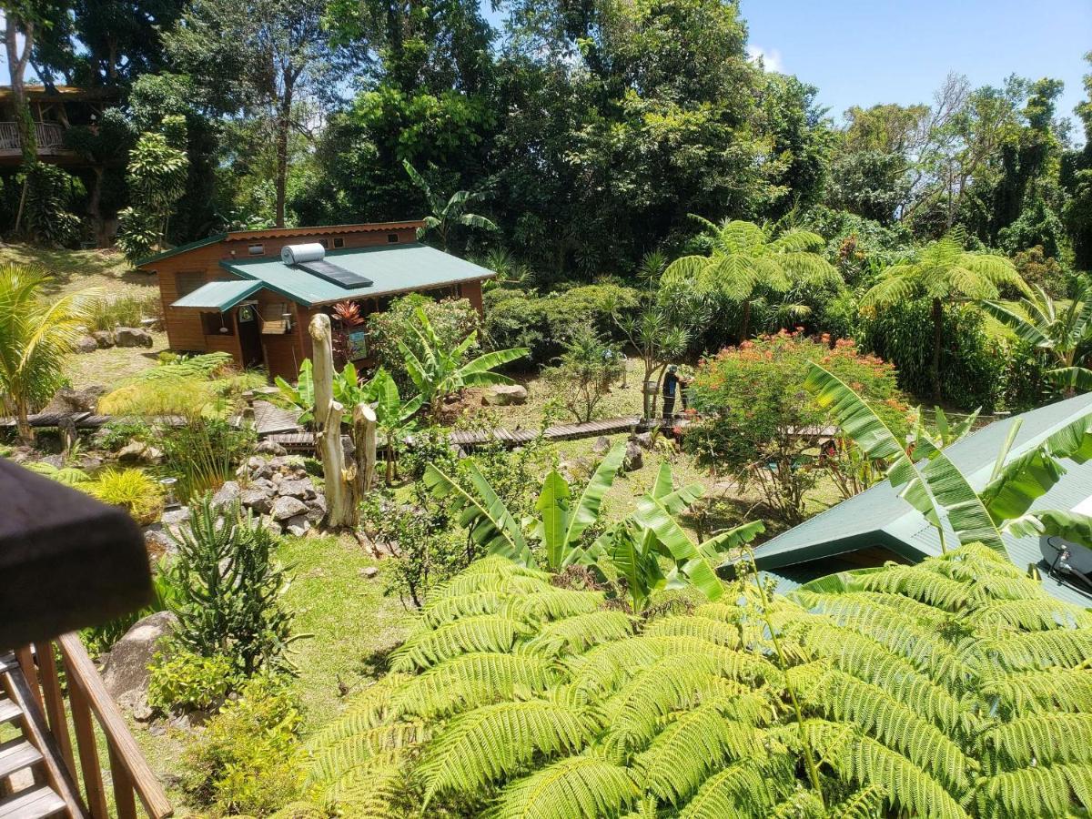 Les Bananes Vertes Ecolodges Сен-Клод Экстерьер фото