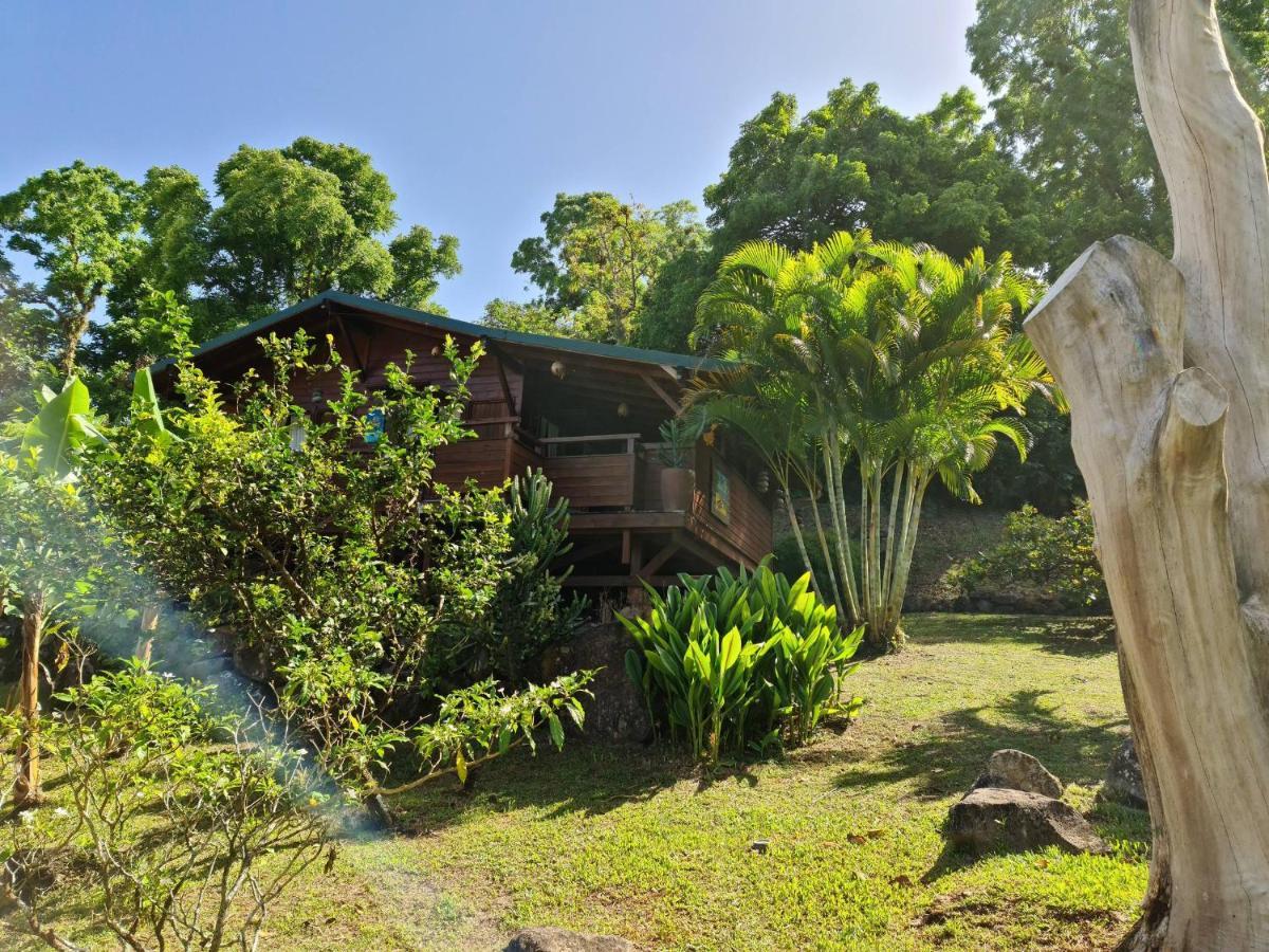 Les Bananes Vertes Ecolodges Сен-Клод Экстерьер фото