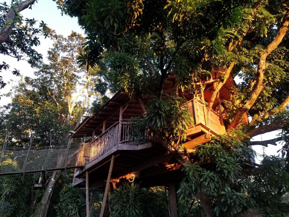 Les Bananes Vertes Ecolodges Сен-Клод Экстерьер фото