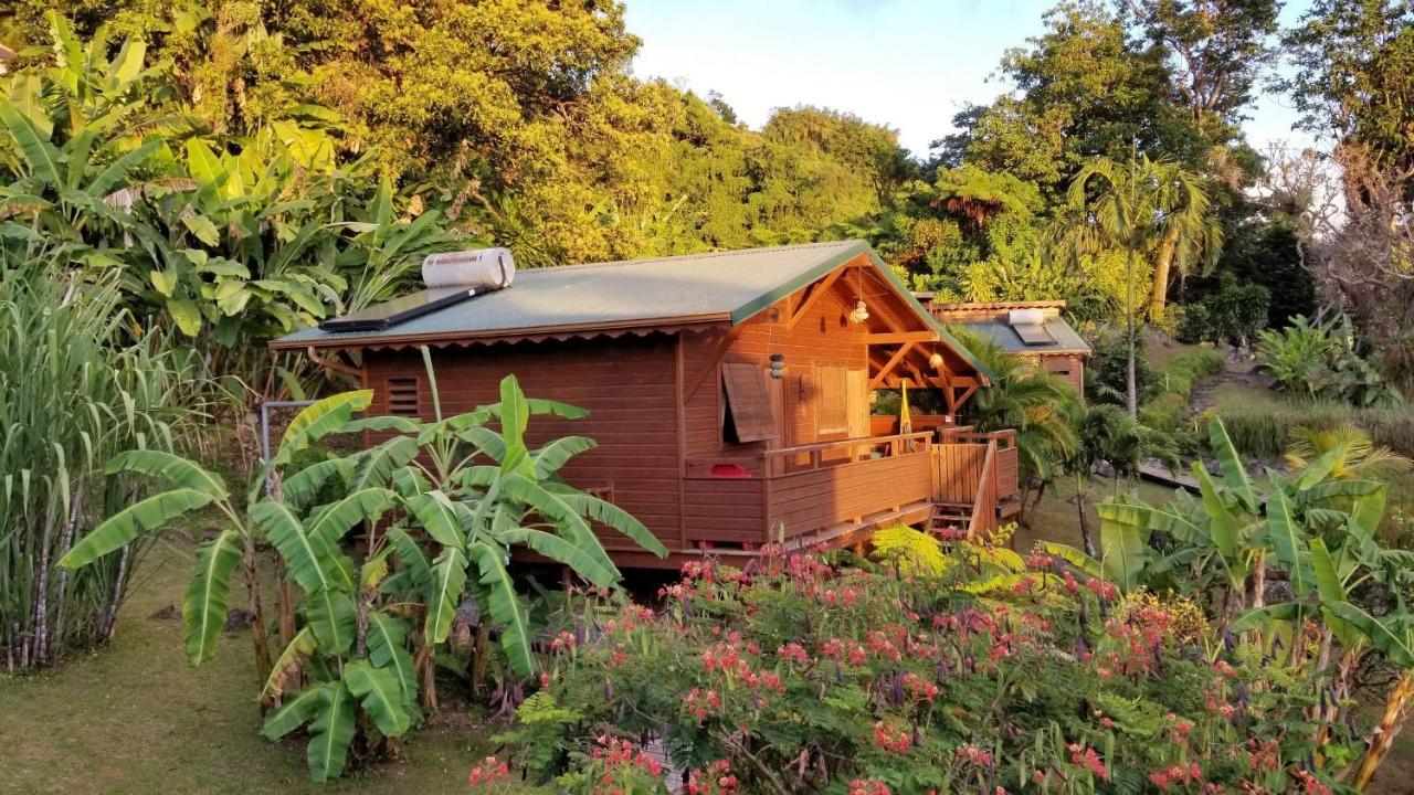 Les Bananes Vertes Ecolodges Сен-Клод Экстерьер фото