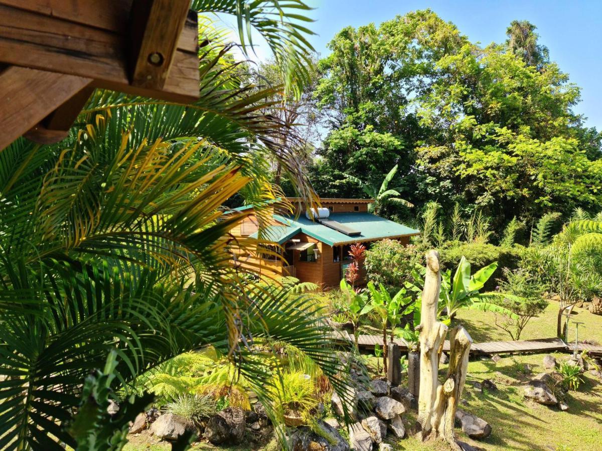 Les Bananes Vertes Ecolodges Сен-Клод Экстерьер фото