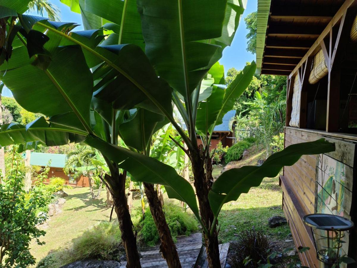 Les Bananes Vertes Ecolodges Сен-Клод Экстерьер фото