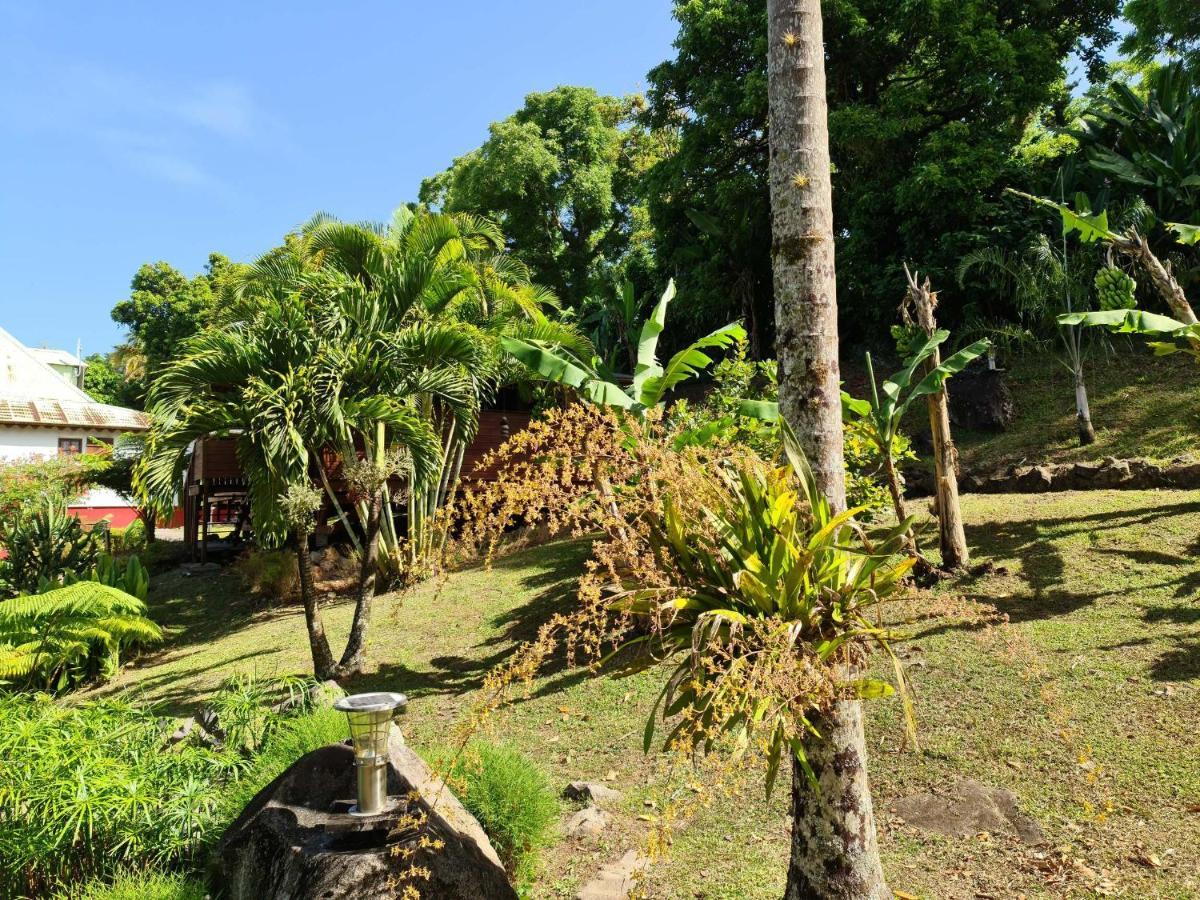 Les Bananes Vertes Ecolodges Сен-Клод Экстерьер фото