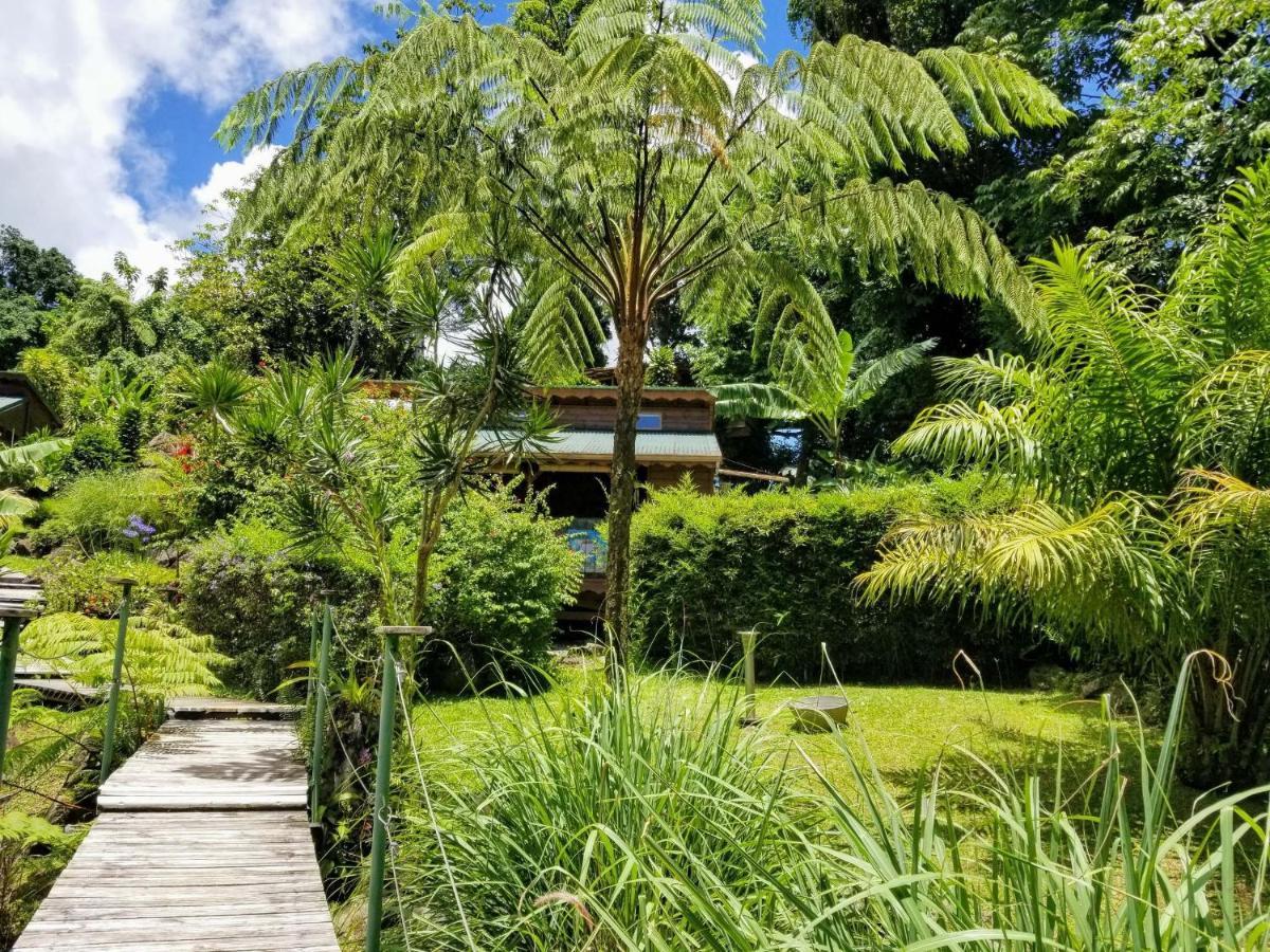Les Bananes Vertes Ecolodges Сен-Клод Экстерьер фото