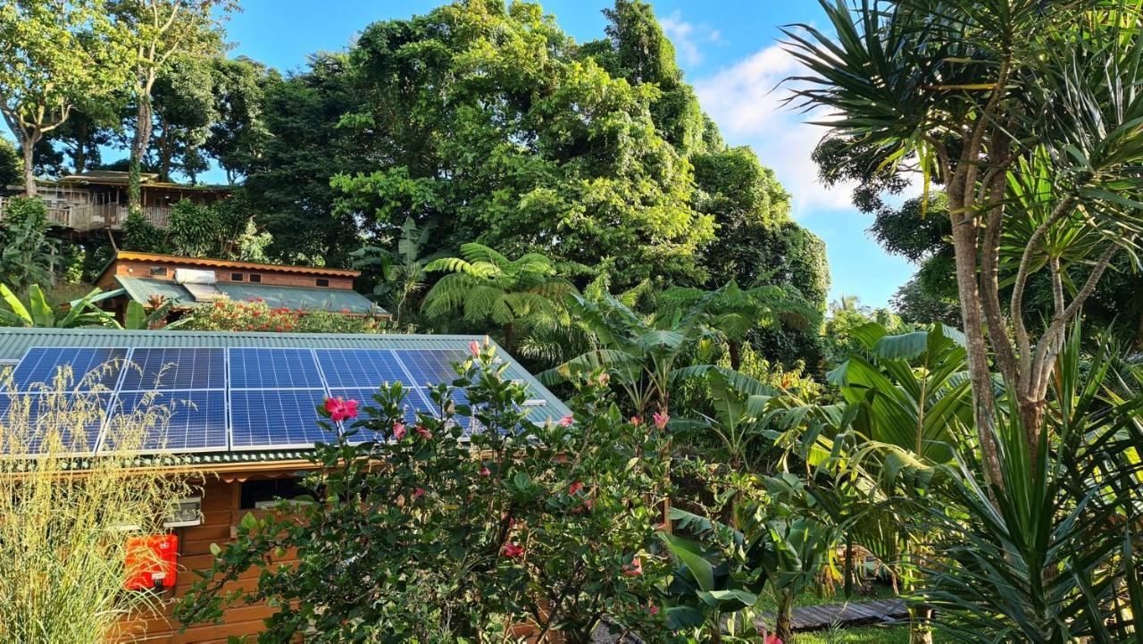 Les Bananes Vertes Ecolodges Сен-Клод Экстерьер фото